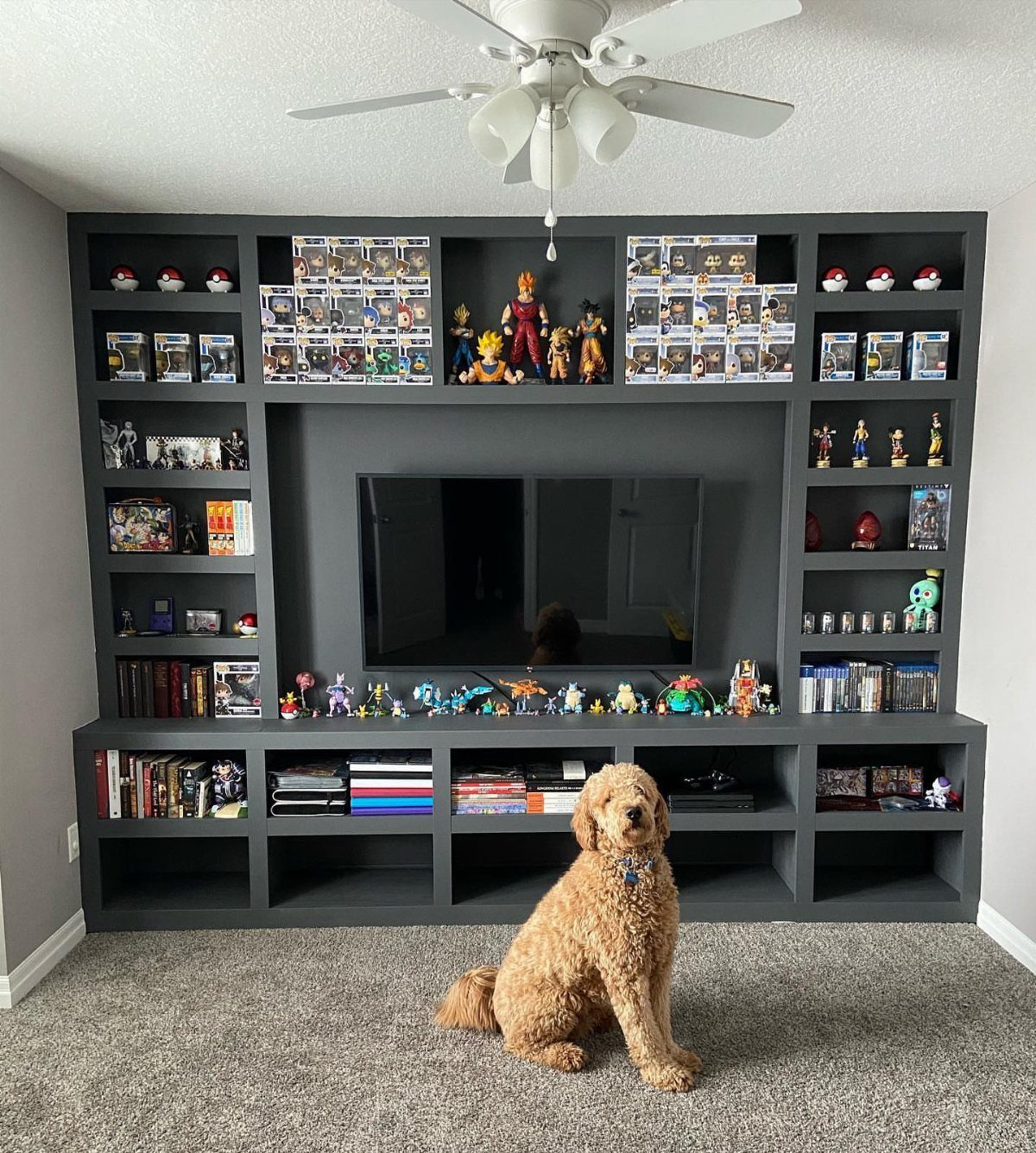 Dark grey built-in shelving unit with collectibles and a golden doodle dog sitting in front.