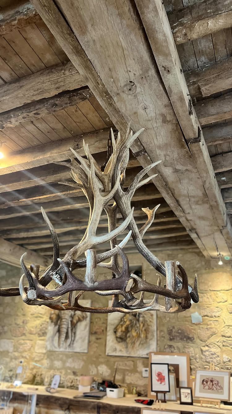 Antler chandelier hanging from a rustic wooden ceiling in a stone-walled room