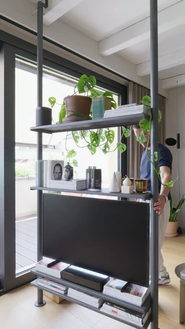 Modern metal shelving unit with a television, books, and trailing green houseplants.